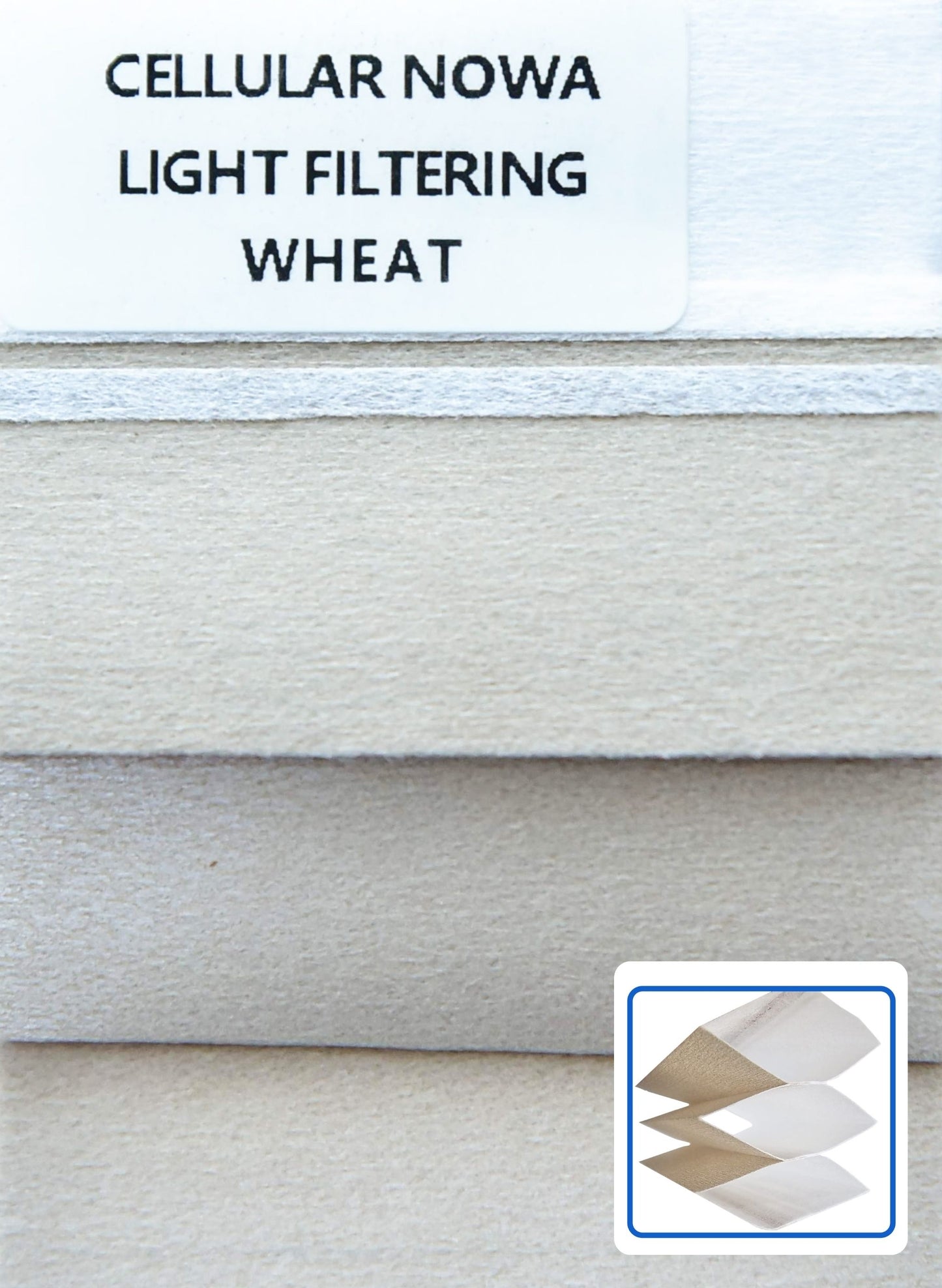 Cellular Nowa LIght Filtering Wheat